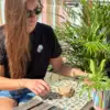 Bienenwachstuch – Bild 6